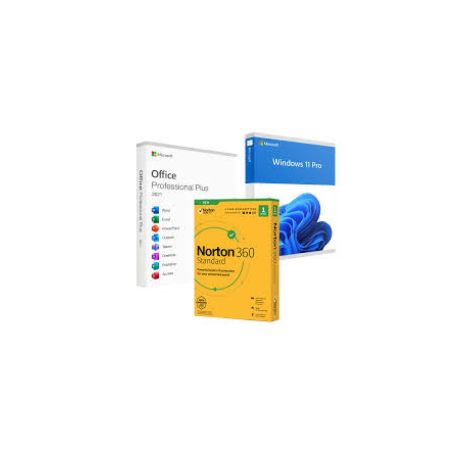 Software